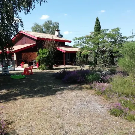Maghouse Holiday home *